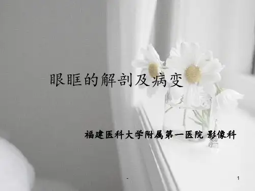 眼眶解剖与病变PPT课件