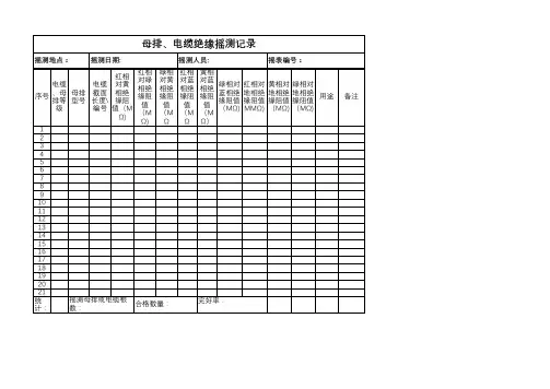 电缆、母排绝缘检查记录表