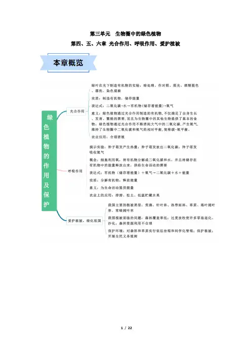 2023-2024学年七上生物《第四、五 、六章 光合作用和呼吸作用》速记清单(解析版)