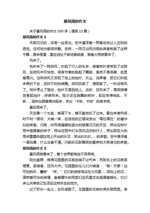 关于暴风雨的作文500字（通用10篇）