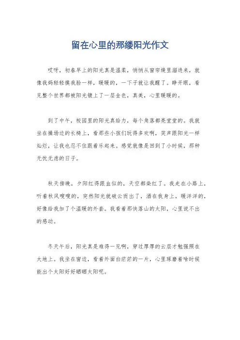 留在心里的那缕阳光作文