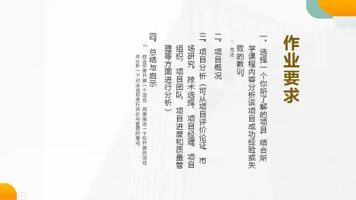 项目管理与评价作业