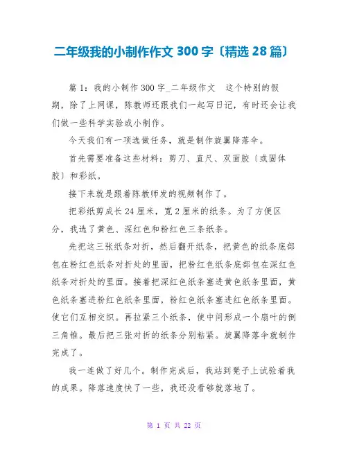 二年级我的小制作作文300字(精选28篇)