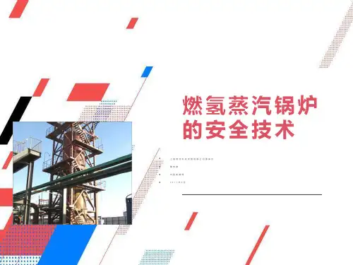 燃氢蒸汽锅炉的安全技术