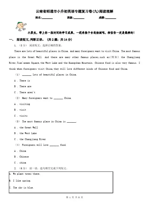 云南省昭通市小升初英语专题复习卷(九)阅读理解