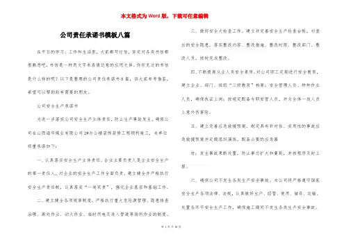 公司责任承诺书模板八篇