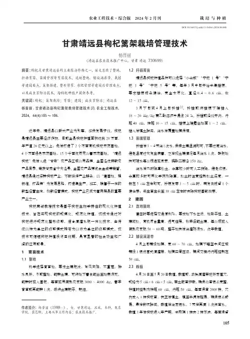 甘肃靖远县枸杞篱架栽培管理技术