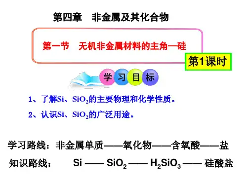 硅单质和二氧化硅