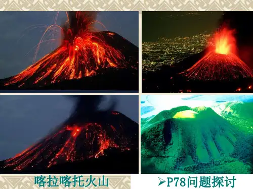 人教版生物必修三第四章第4节_群落的演替   很细