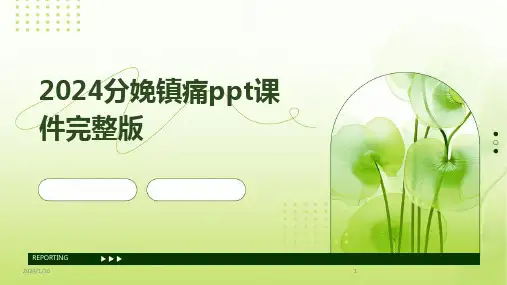 2024分娩镇痛ppt课件完整版(2024)