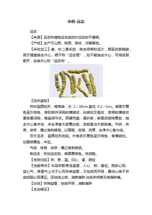 中药-远志