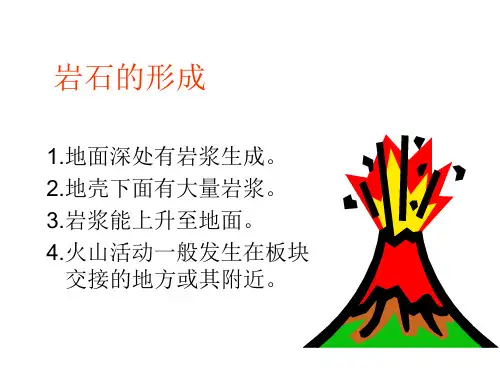 小学科学岩石的组成
