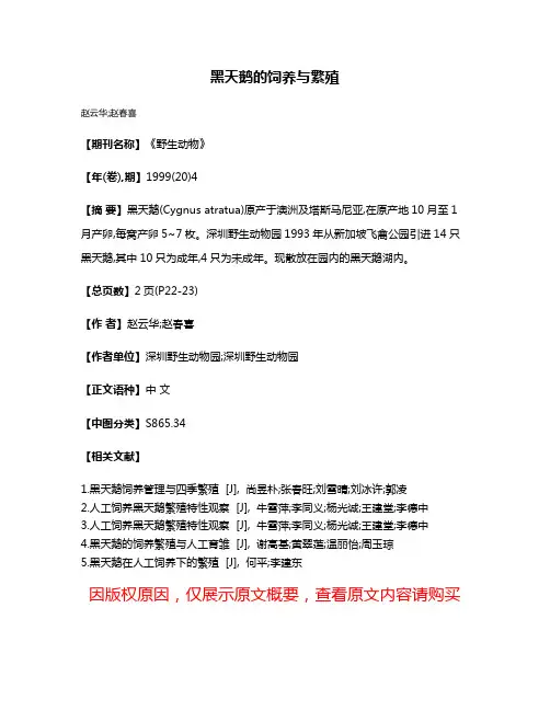 黑天鹅的饲养与繁殖