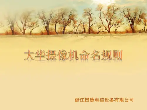 大华摄像机命名规则