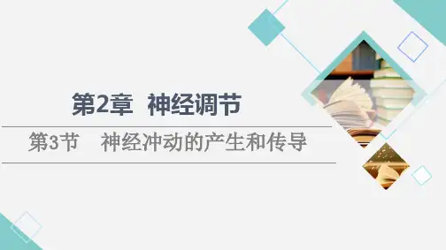 高中生物新人教版选择性必修1神经冲动的产生和传导(54张)课件