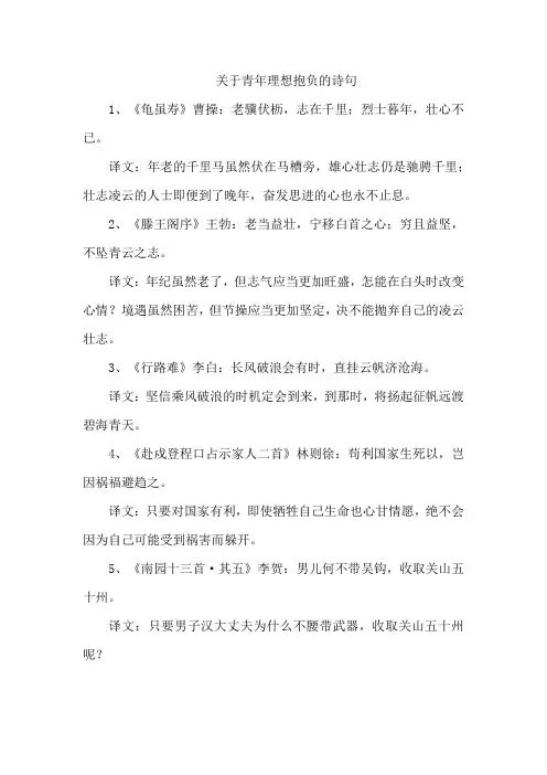 关于青年理想抱负的诗句