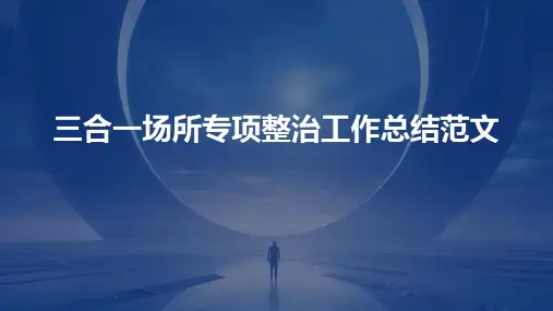 三合一场所专项整治工作总结范文PPT