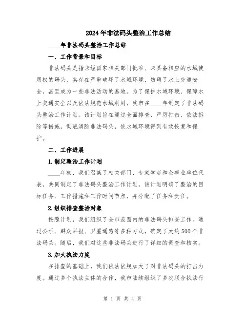 2024年非法码头整治工作总结