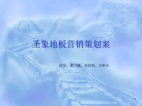 圣象地板推广方案与策划