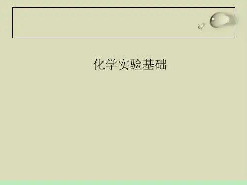 化学实验基础PPT下载