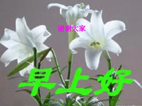 绿色植物的光合作用和呼吸作用复习 教学课件 苏教版