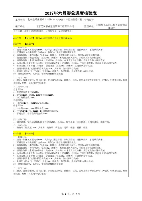 01形象进度核验表