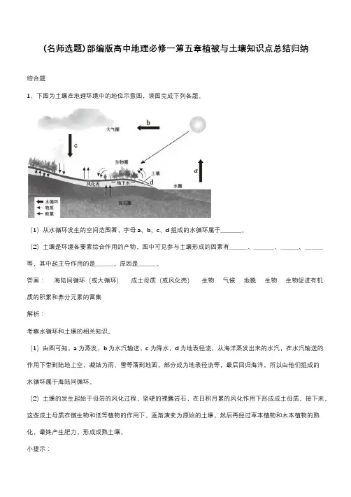 部编版高中地理必修一第五章植被与土壤知识点总结归纳