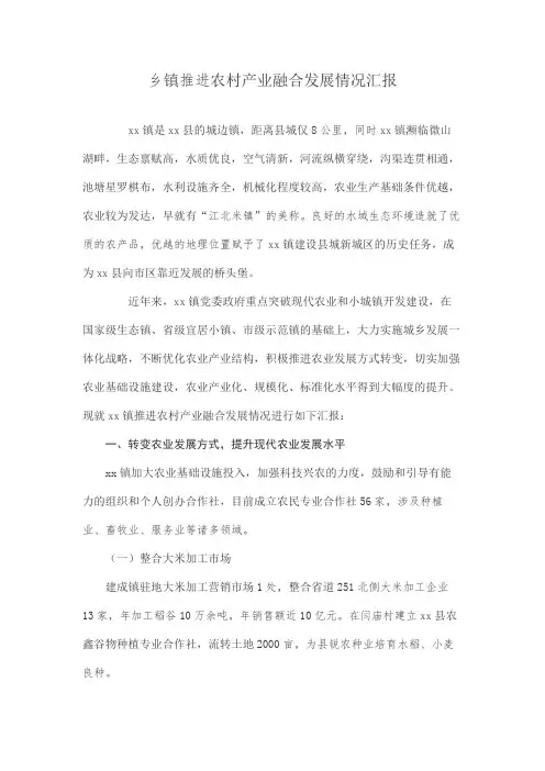 乡镇推进农村产业融合发展情况汇报