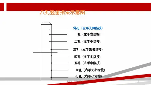 竖笛八孔指法教程