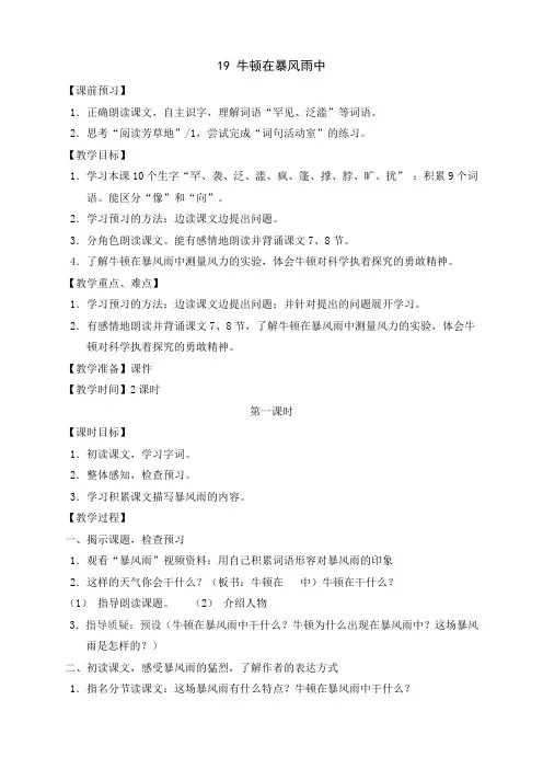 19牛顿在暴风雨中教案22