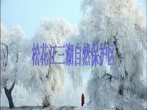 吉林松花江三湖自然保护区介绍