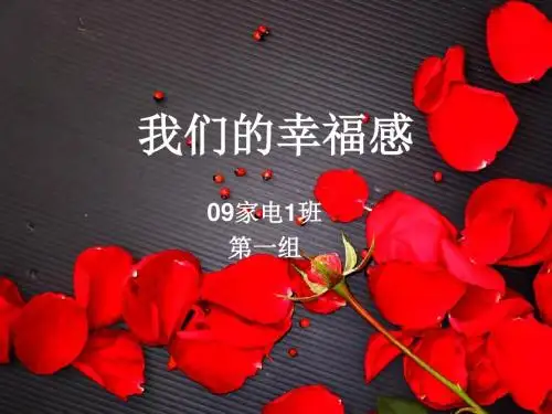 说说我们的幸福感PPT最终版