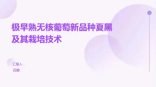 极早熟无核葡萄新品种夏黑及其栽培技术