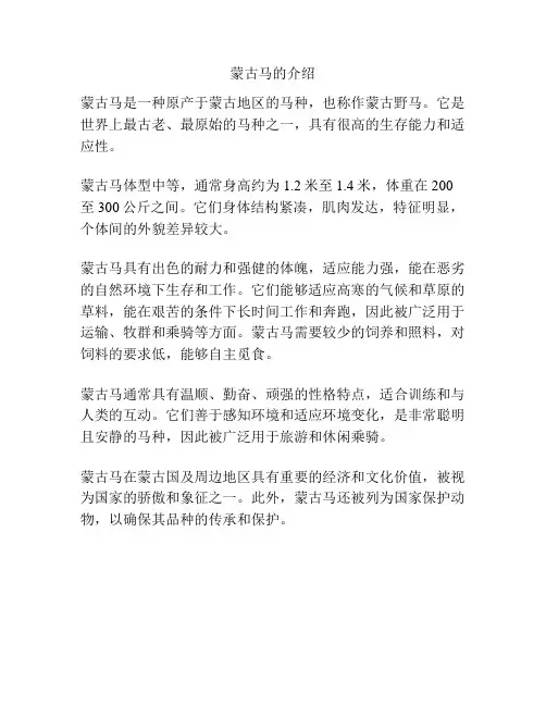 蒙古马的介绍