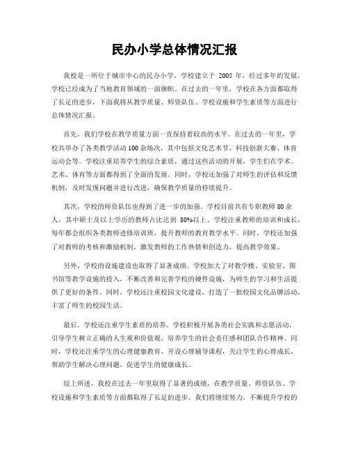 民办小学总体情况汇报