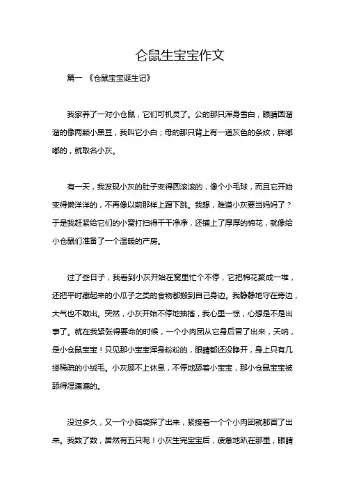 仑鼠生宝宝作文