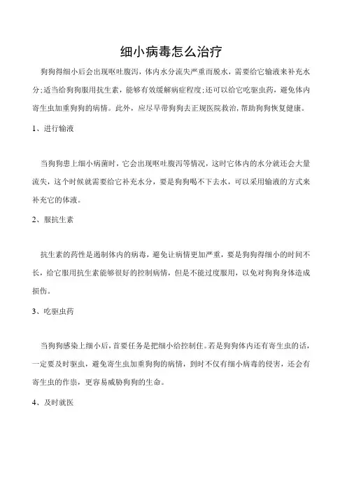 细小病毒怎么治疗