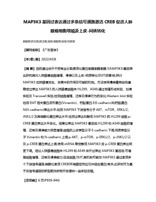 MAP3K3基因过表达通过多条信号通路激活CREB促进人肺腺癌细胞增殖及上皮-间质转化