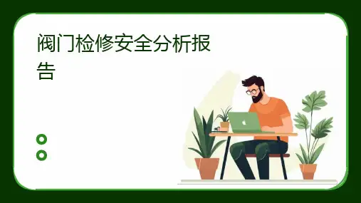 阀门检修安全分析报告