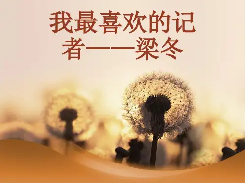 我最喜欢的记者