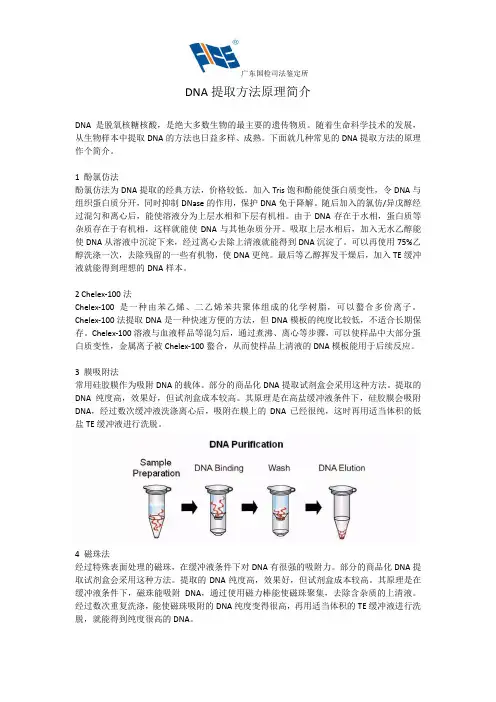 DNA提取方法原理简介