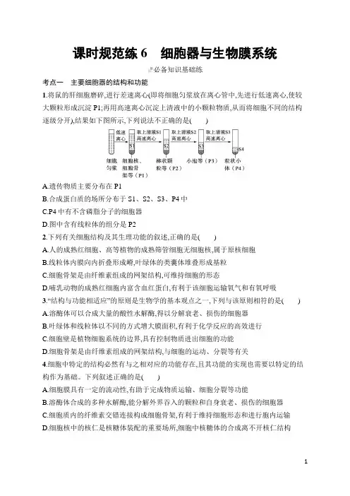 2024年人教版高考生物总复习第二部分课时规范训练6细胞器与生物膜系统