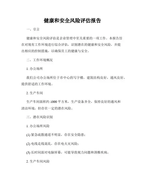 健康和安全风险评估报告