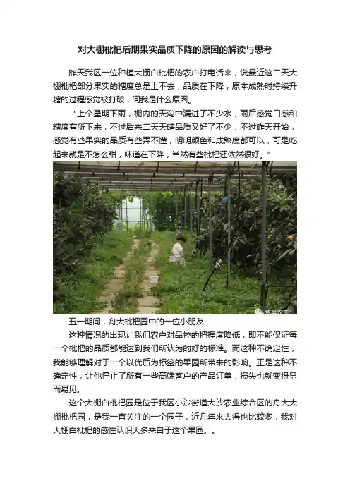 对大棚枇杷后期果实品质下降的原因的解读与思考