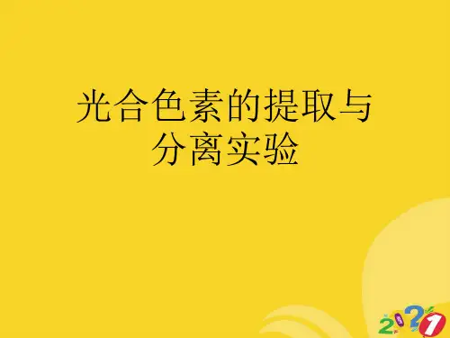 光合色素的提取与分离实验专业资料