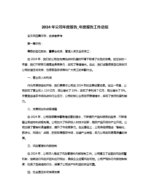 2024年公司年度报告_年度报告工作总结