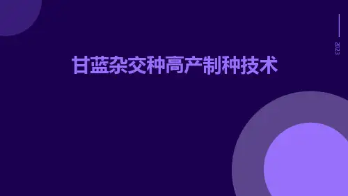 甘蓝杂交种高产制种技术