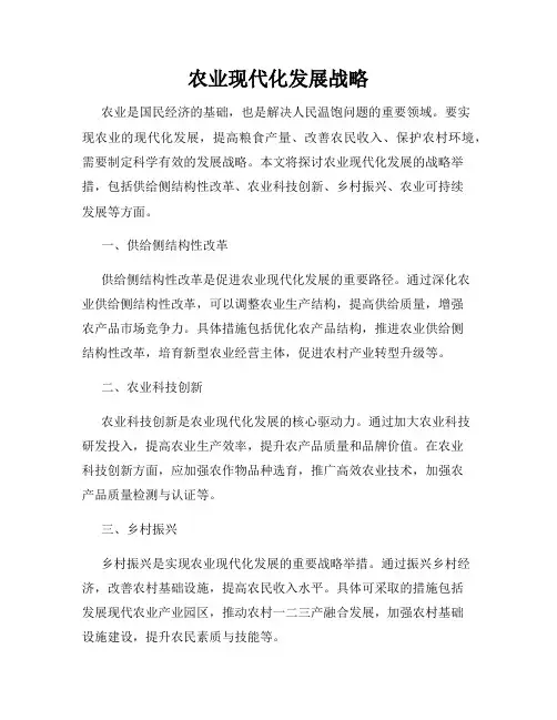 农业现代化发展战略