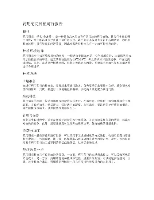 药用菊花种植可行报告