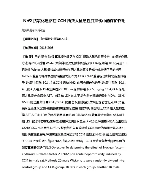 Nrf2抗氧化通路在CCl4所致大鼠急性肝损伤中的保护作用